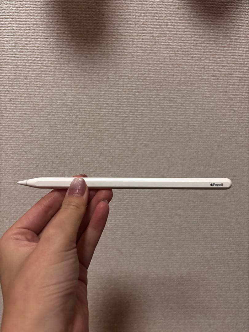 iPad Pro 11インチ WiFi 256GB Apple Pencil