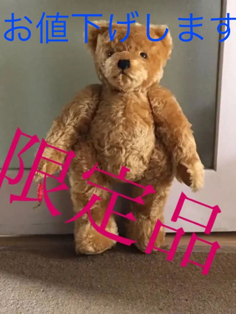 超限定品、テディベア 新品