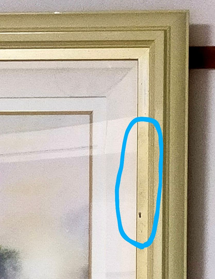 【サイン入り】デイル・ターブッシュ作　生命の息吹　Dale TerBush絵画