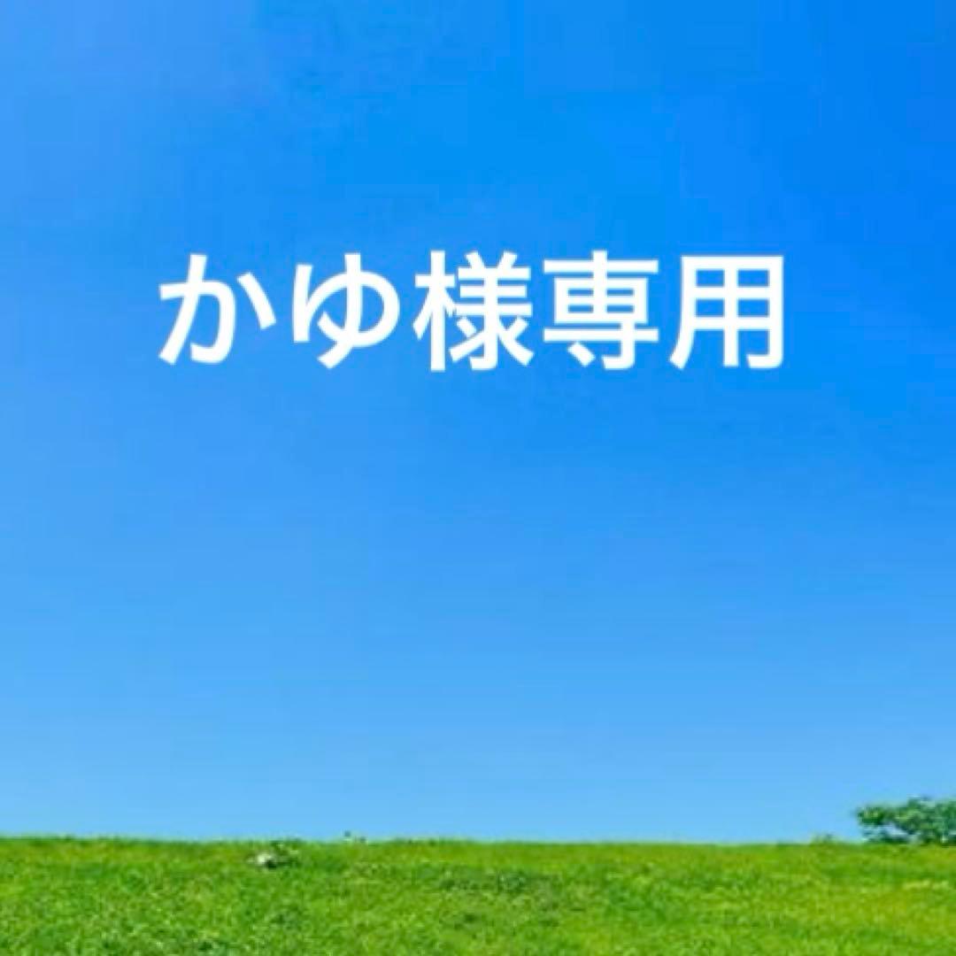 未使用IL BISONTEレザーがま口三つ折り財布　グリーン×チョコ　袋付き
