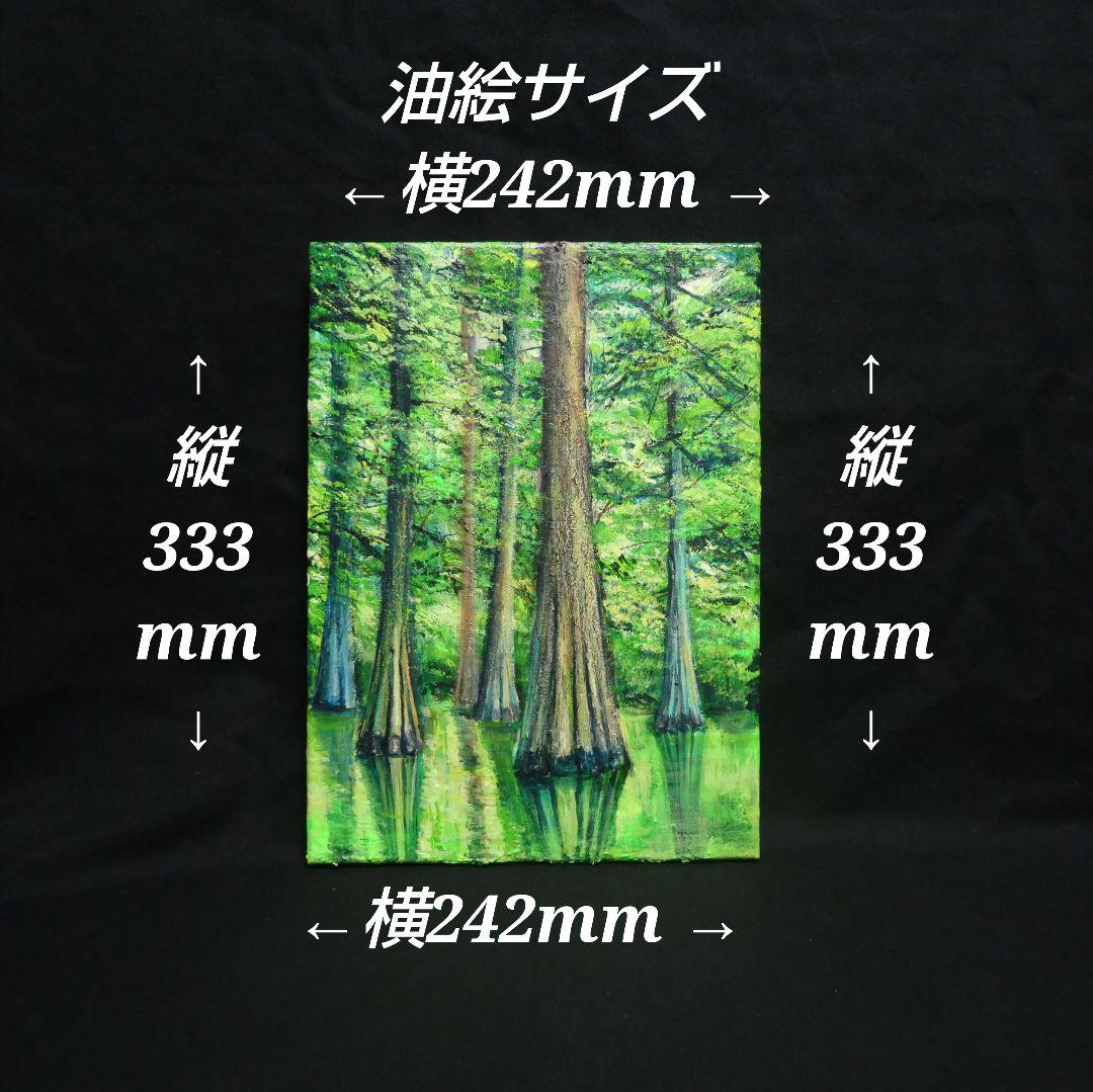 油絵 油彩 油彩画 絵 絵画 絵【水面に映るラクウショウの森﻿】