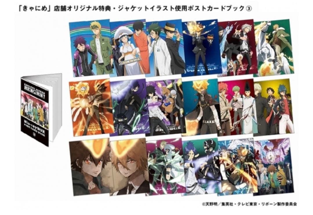 家庭教師ヒットマンreborn きゃにめ ポストカード レア 希少