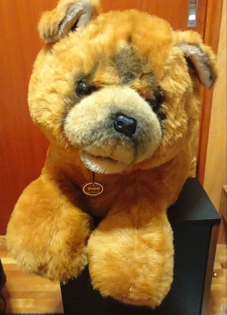 チャウ犬　中国犬　 ぬいぐるみの三英　特大ぬいぐるみ サイズ　68cm