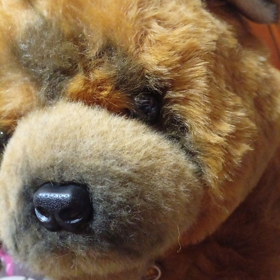 チャウ犬　中国犬　 ぬいぐるみの三英　特大ぬいぐるみ サイズ　68cm