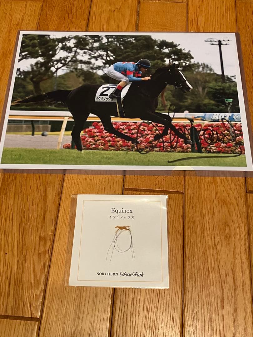 イクイノックス　2021メイクデビュー　ルメール騎手直筆サイン　たてがみ　鬣