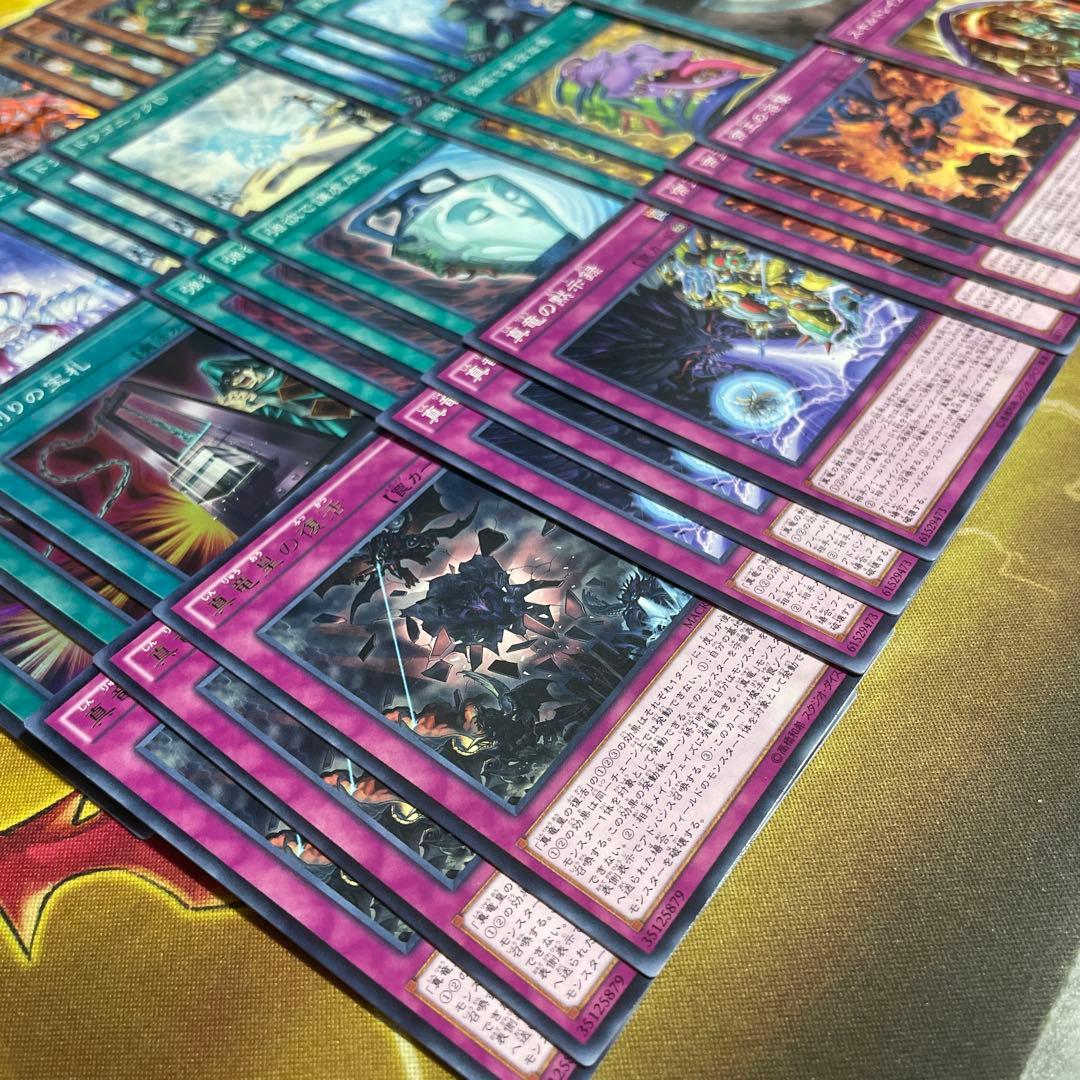 大会構築 命削り真竜デッキ 真竜剣皇マスターP ドラゴニックD 真竜の継承