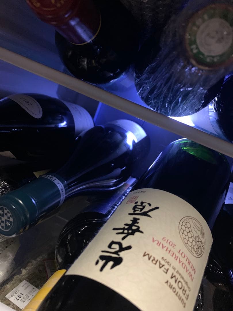 サントリー　フロム ファーム 岩垂原 メルロ 2019 ①