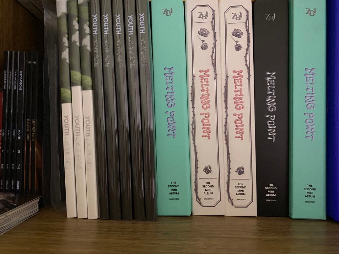 ゴヌク　トレカ　zb1 まとめ売り