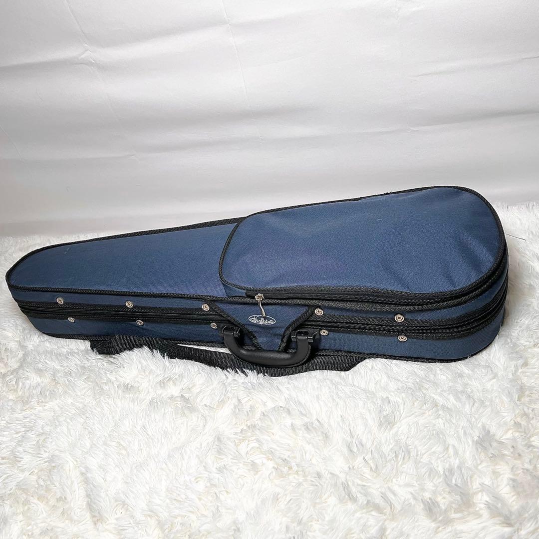 高音質！Hallstatt CV-210E エレキバイオリン本体