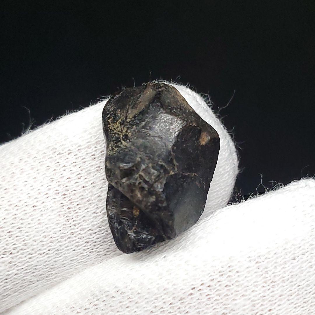 希少 イグアノドン 恐竜 歯 化石 イギリス諸島産 17.77mm fr63