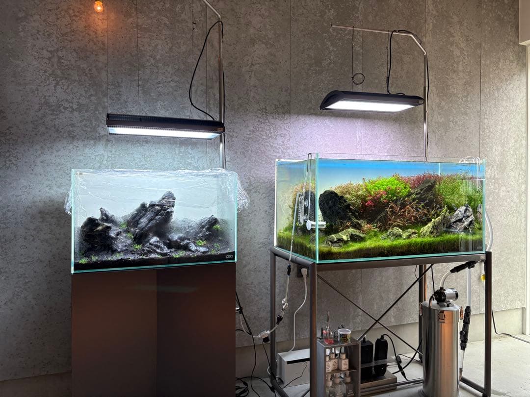 ada 水槽　フルセット