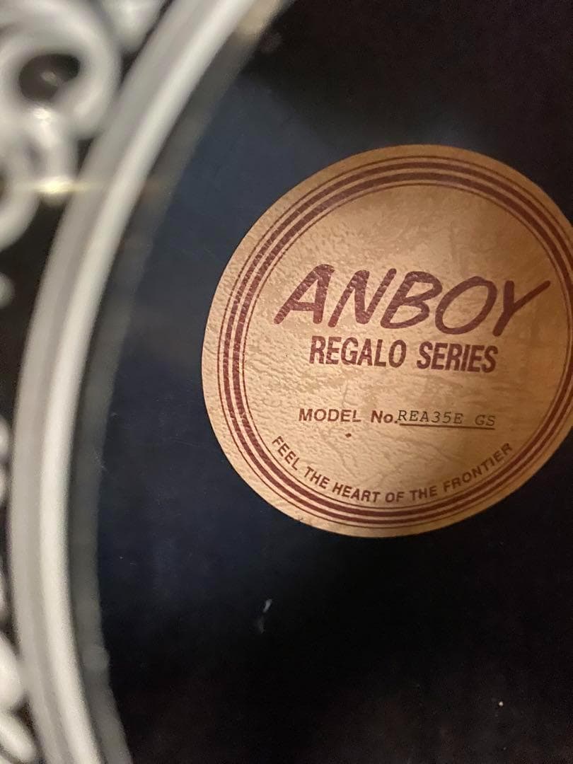 【ギター】ANBOY REA-35E グリーン