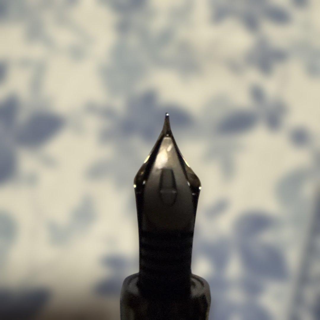 PILOT 万年筆 黒 カスタム74 Fケース保証書付き