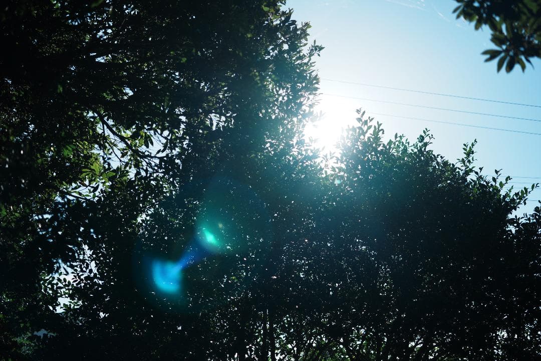 Carl Zeiss Batis 40mm F2 CF レンズ1本だけ残すなら