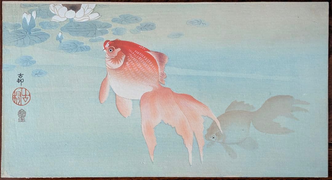 小原古邨「睡蓮に二匹の金魚」本物木版画