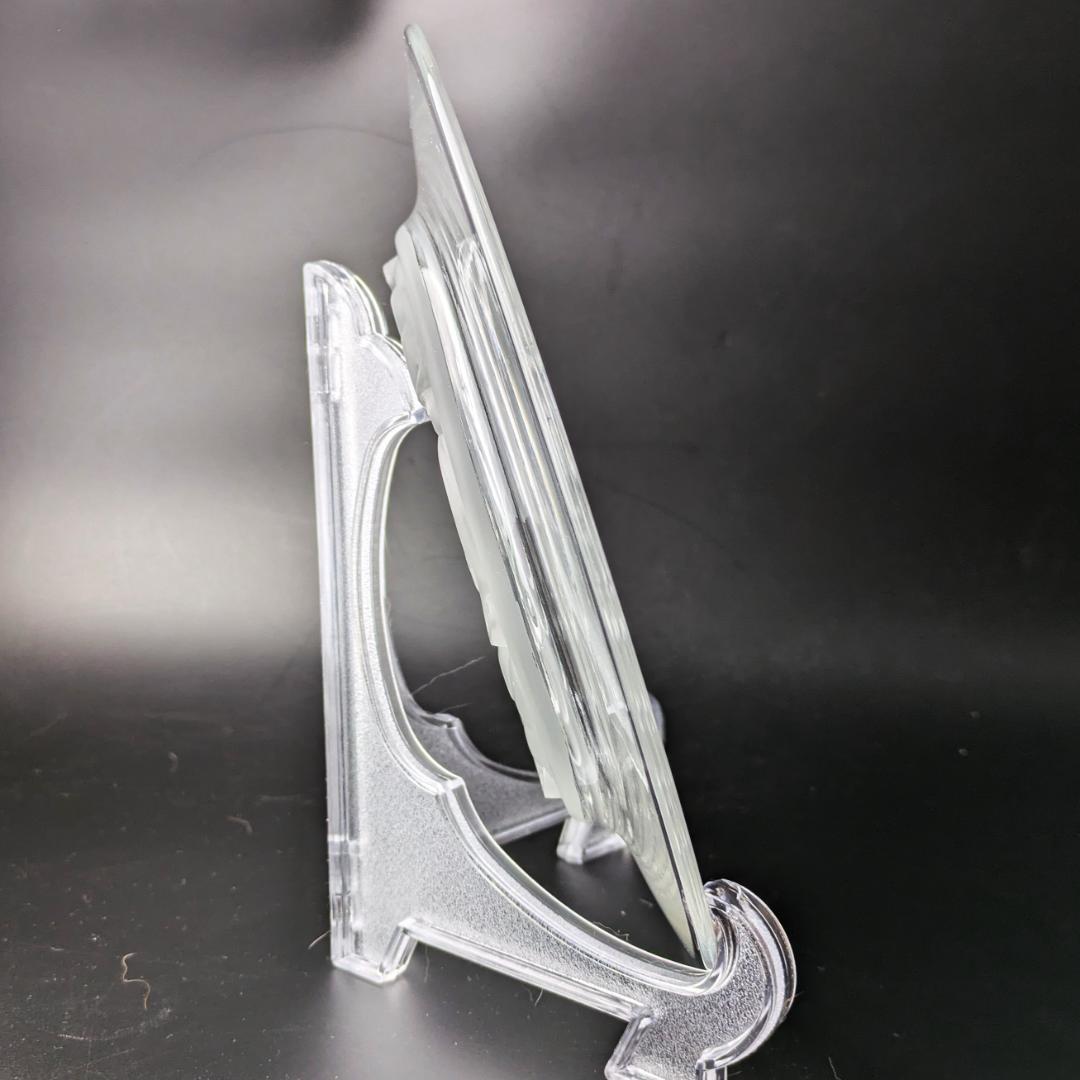 フロストによる立体感★希少★ラリック マリエンタール 24㎝大皿 フランス