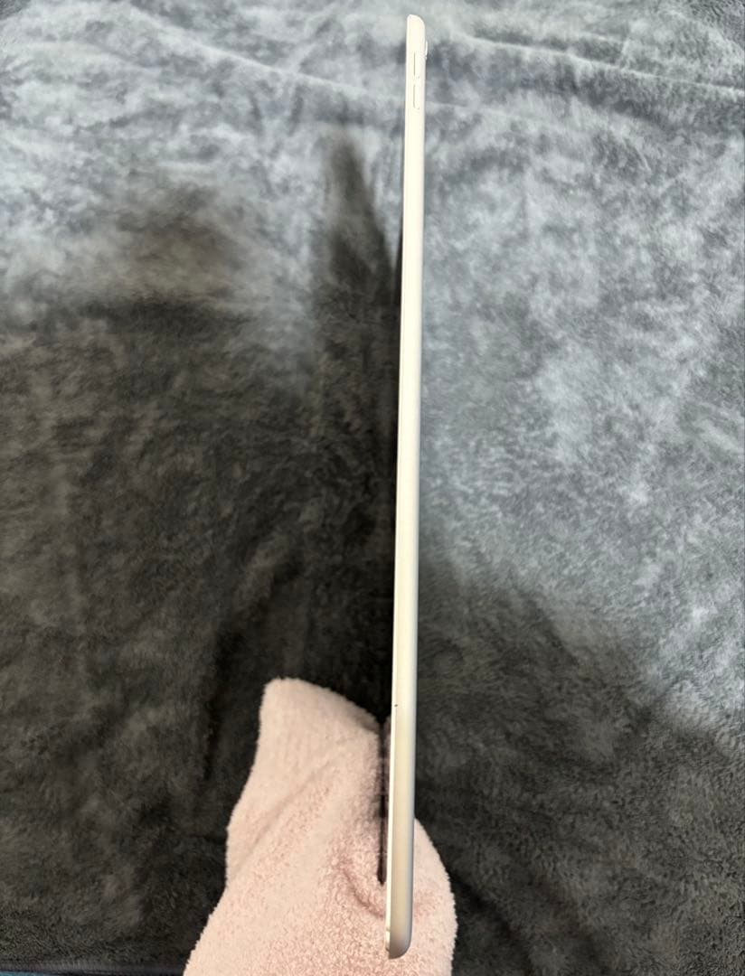 iPad Pro 12.9インチ 第2世代256GB Wi-Fiモデル 本体のみ