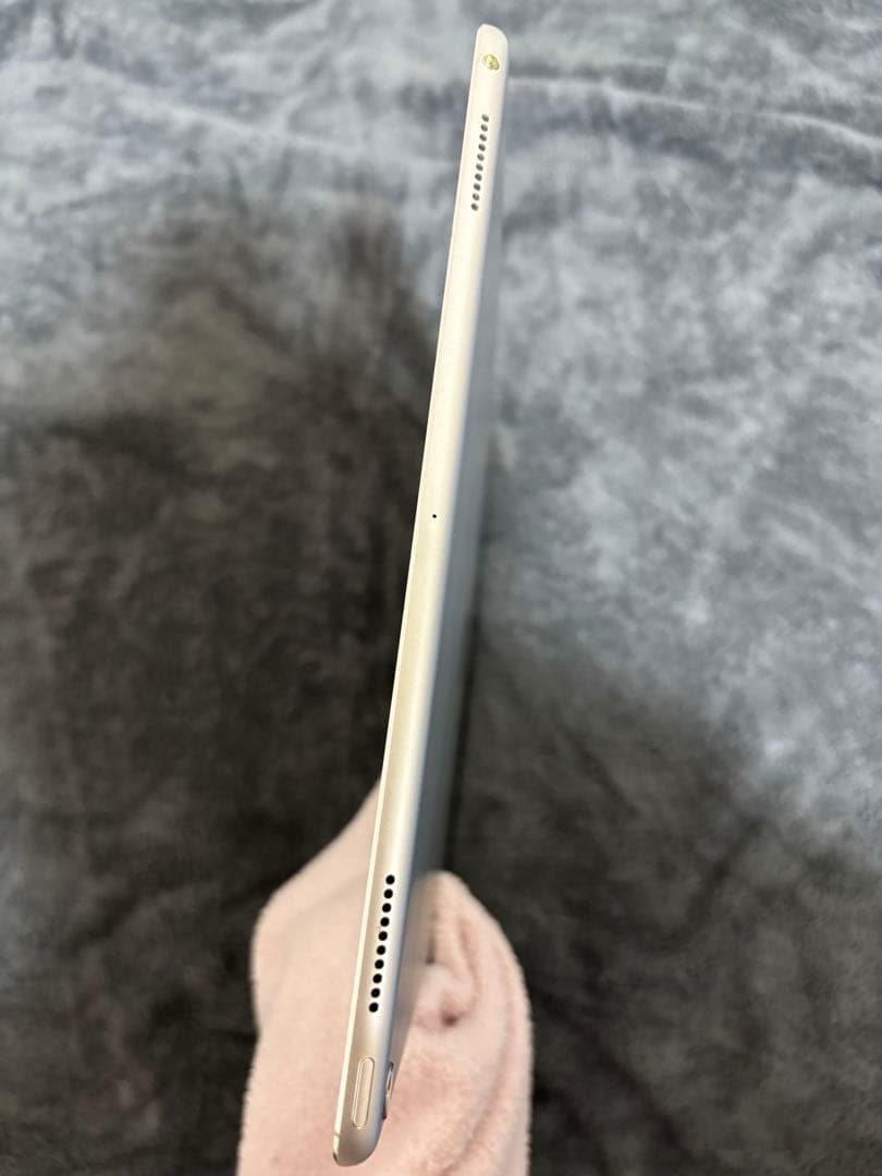 iPad Pro 12.9インチ 第2世代256GB Wi-Fiモデル 本体のみ