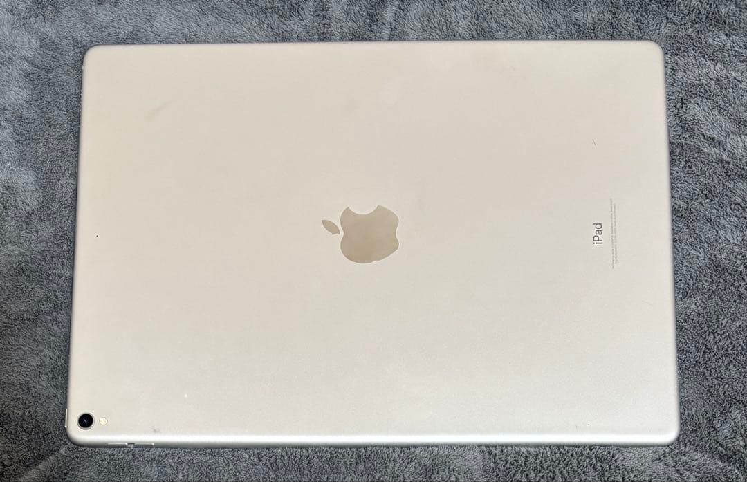 iPad Pro 12.9インチ 第2世代256GB Wi-Fiモデル 本体のみ