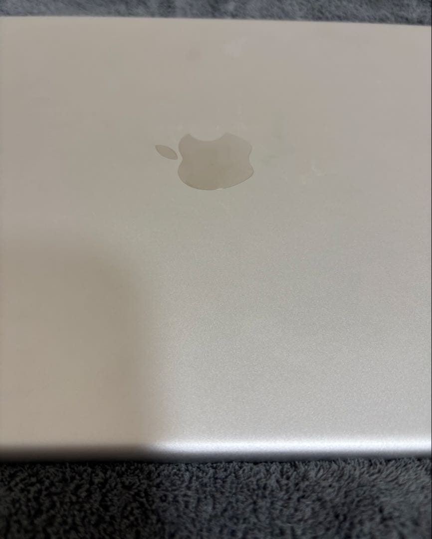 iPad Pro 12.9インチ 第2世代256GB Wi-Fiモデル 本体のみ