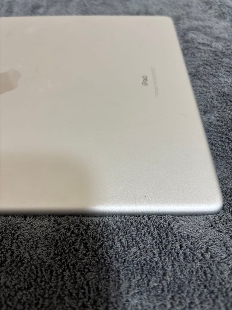 iPad Pro 12.9インチ 第2世代256GB Wi-Fiモデル 本体のみ