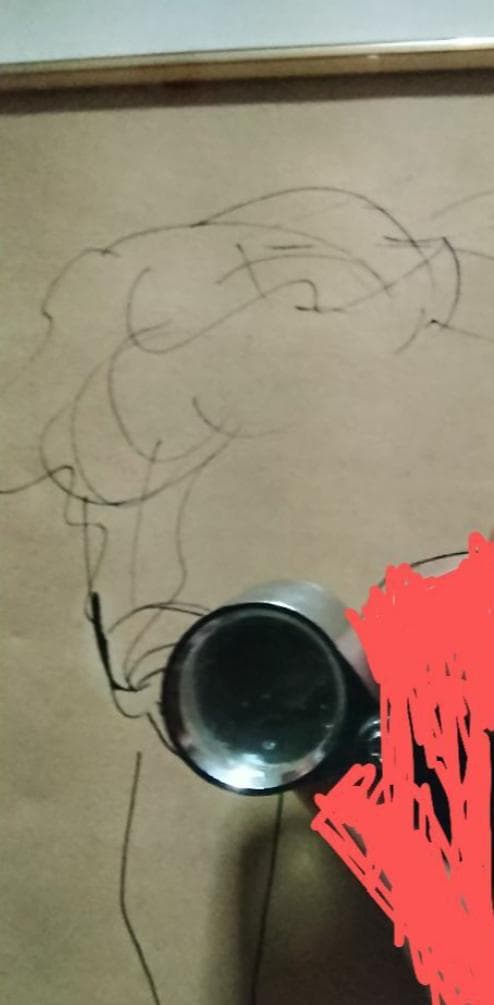 林武ペン画女性像6号巨匠真作美術年鑑評価1号500万円画家