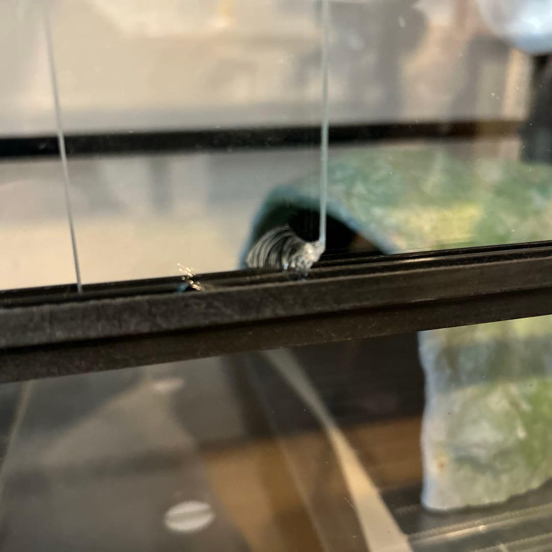 【リクガメ】【トカゲ】爬虫類飼育ケージセット