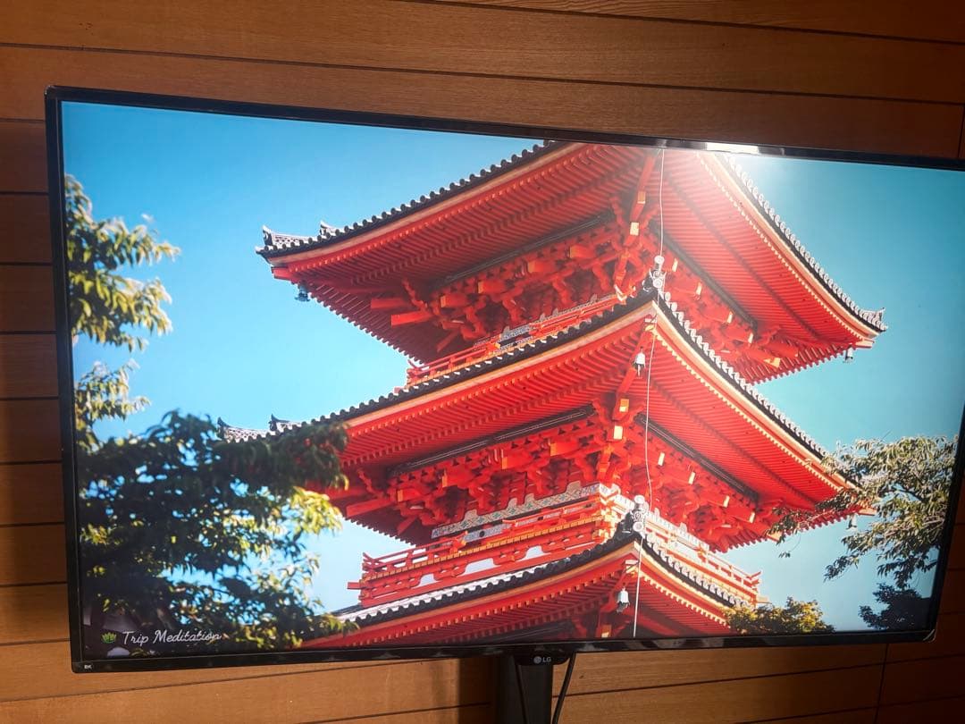 LG UHD 4K Monitor 43UD79T 43インチ