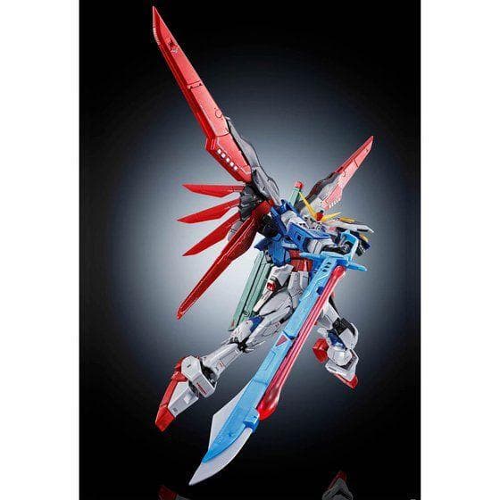 【2品セット】RG ストライクフリーダム／デスティニーガンダム チタニウム