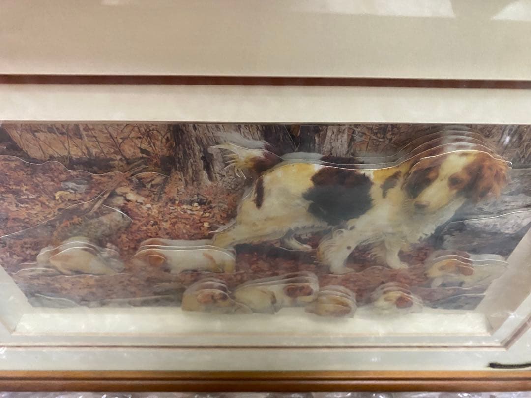 イングリッシュウォータースパニエル　壁掛け　イングランド製　ドマン　Domain