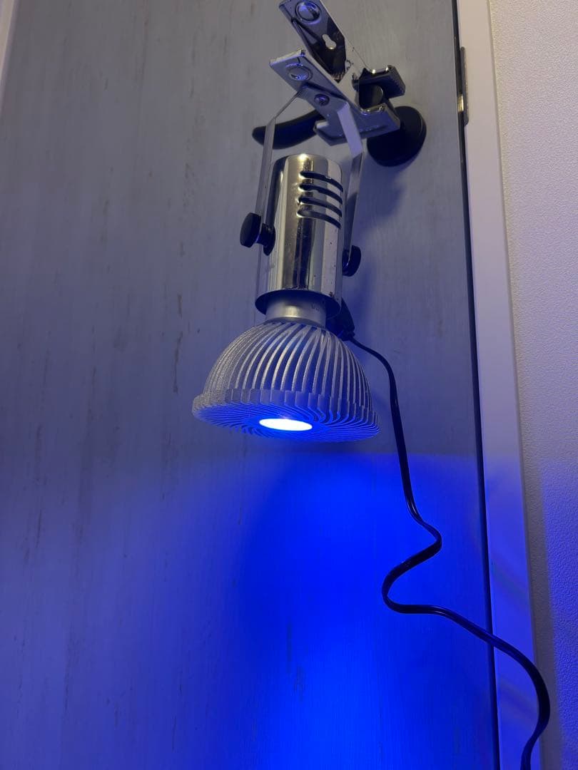 海水魚サンゴLEDライト 3個セット グラッシーレディオ RX207 DPなど