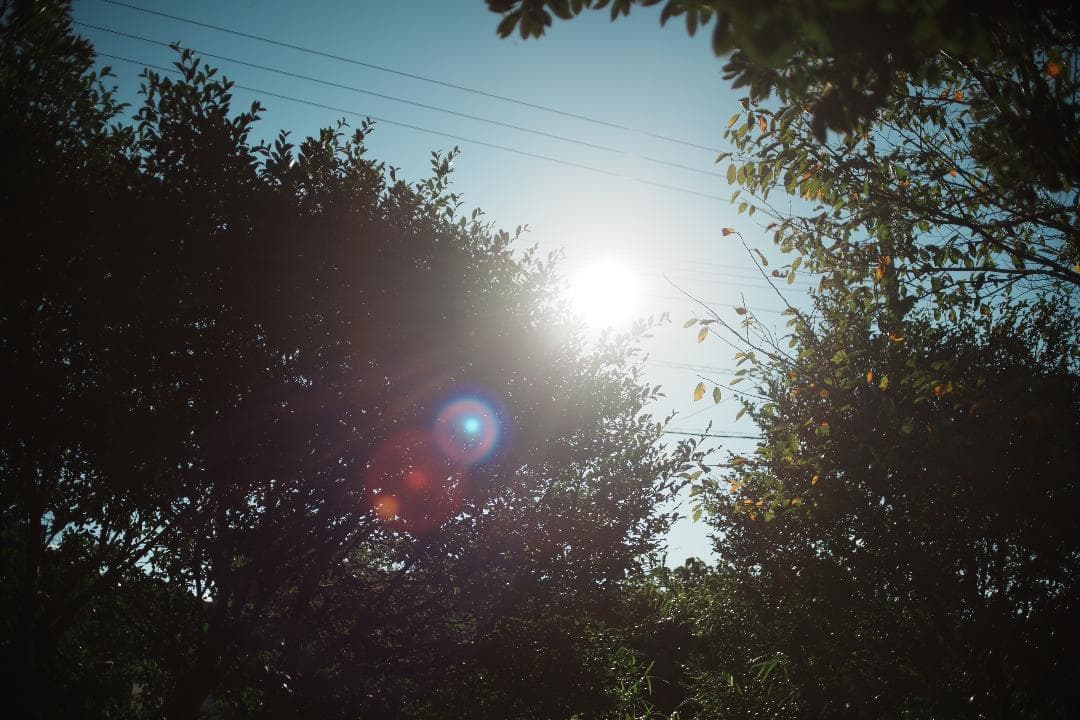 希少 Canon FD 35mm F2 S.S.C concave 864