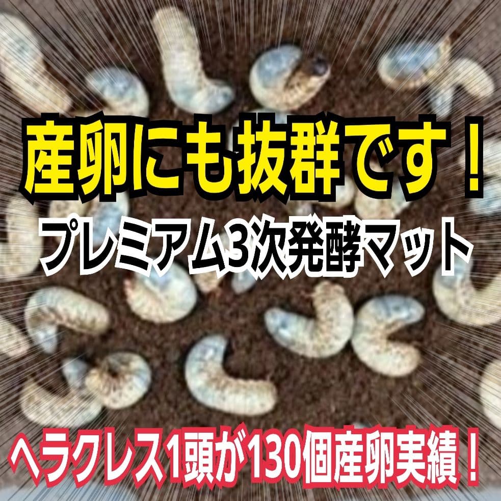 幼虫がビッグサイズに！プレミアム3次発酵カブトムシマット【60L】特殊アミノ酸入