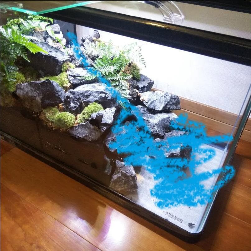 【受注生産】６0センチ水槽アクアテラリウム　イモリウム　苔テラリウム　テラリウム