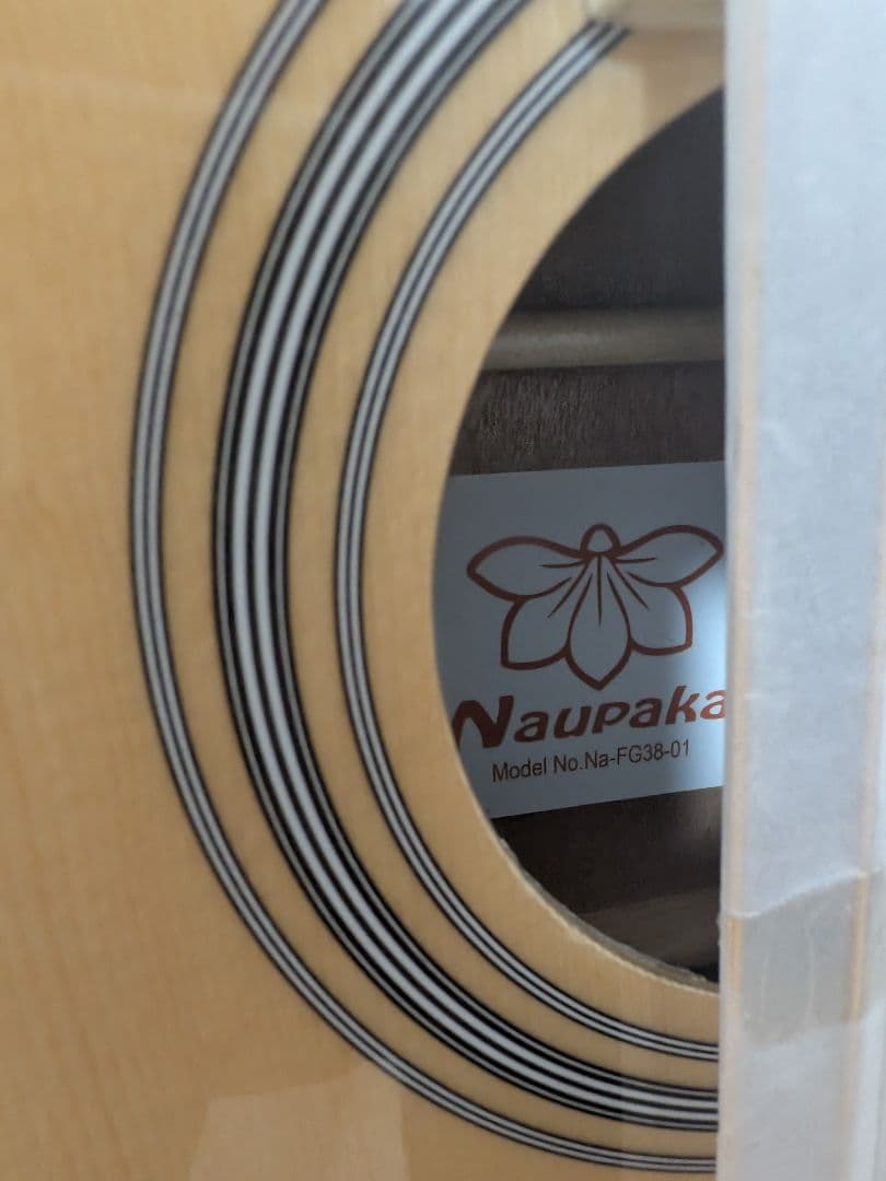 新品未使用品◎Naupaka ソフトケース付属 アコギ FG-38-01