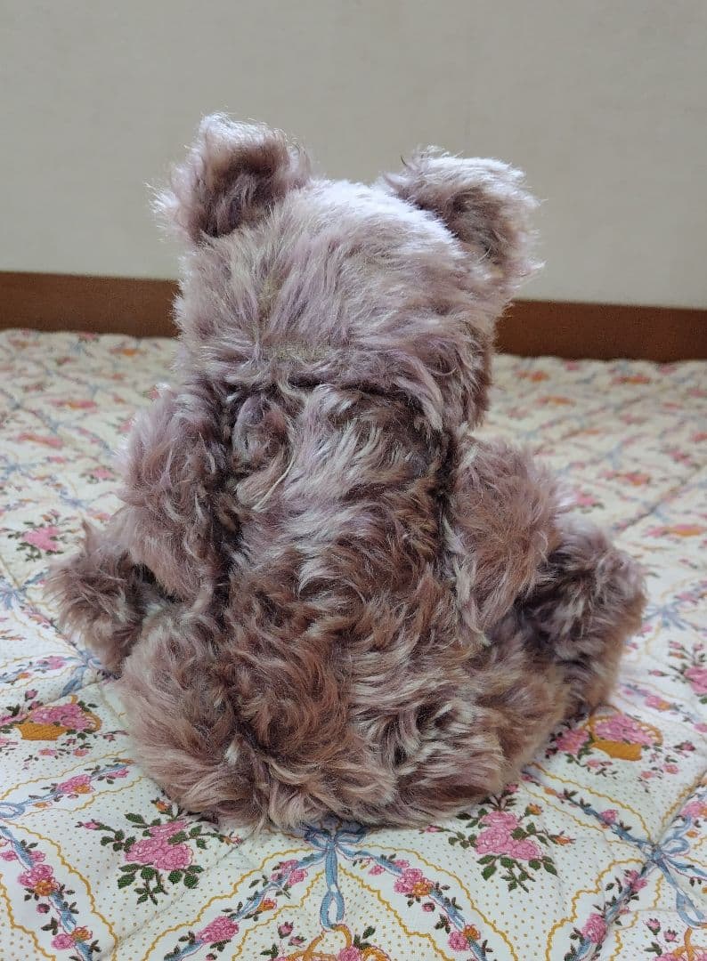 シュタイフ　小豆色のゾッティ