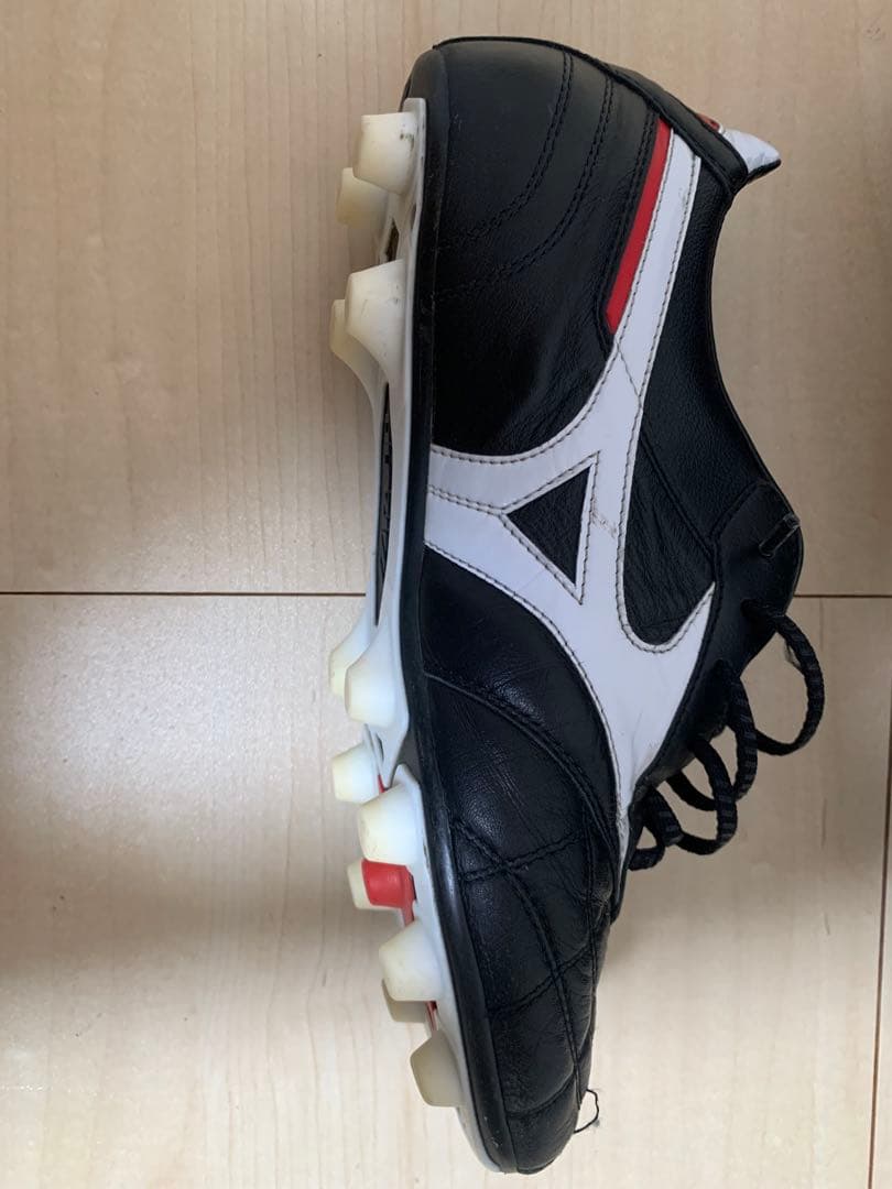 モレリア 2 クロスステッチ26cm