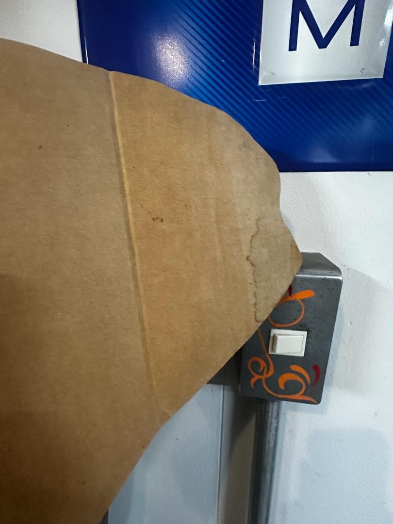 Coronaビール顔はめパネル　女性Ver