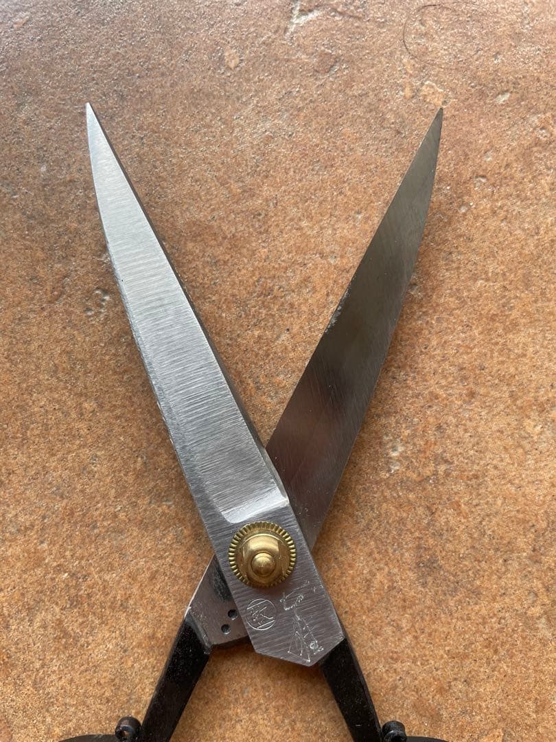 ほぼ新品　本家　本種子鋏