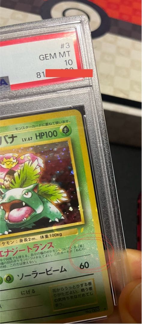 フジギバナ　旧裏　psa10