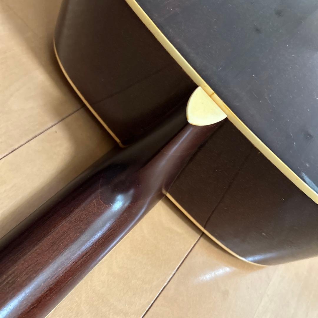 ぴょんたんCat's Eyas CE-200 東海楽器工房