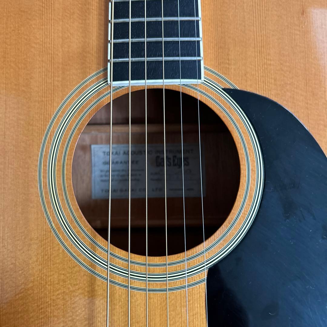 ぴょんたんCat's Eyas CE-200 東海楽器工房