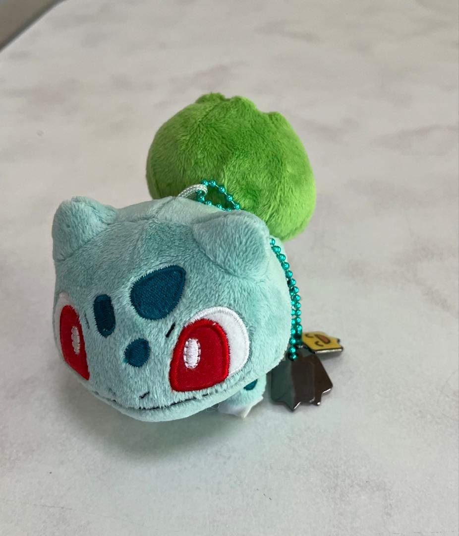 R*O様 ポケモンのぬいぐるみチャームつき８個＋チャーム無し１個　まとめ売り