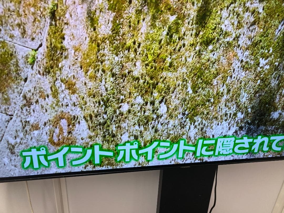パナソニック 55型有機ELテレビ TH-55FZ950 19年製 スタンド無★