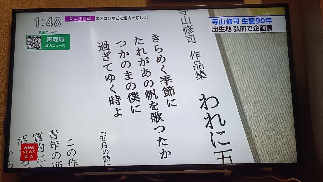 TOSHIBA REGZA 43G20X 液晶テレビ