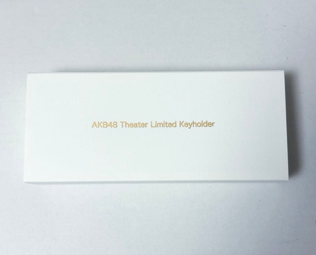 ★希少 AKB48 劇場 ステージ 床材 キーホルダー 500個限定