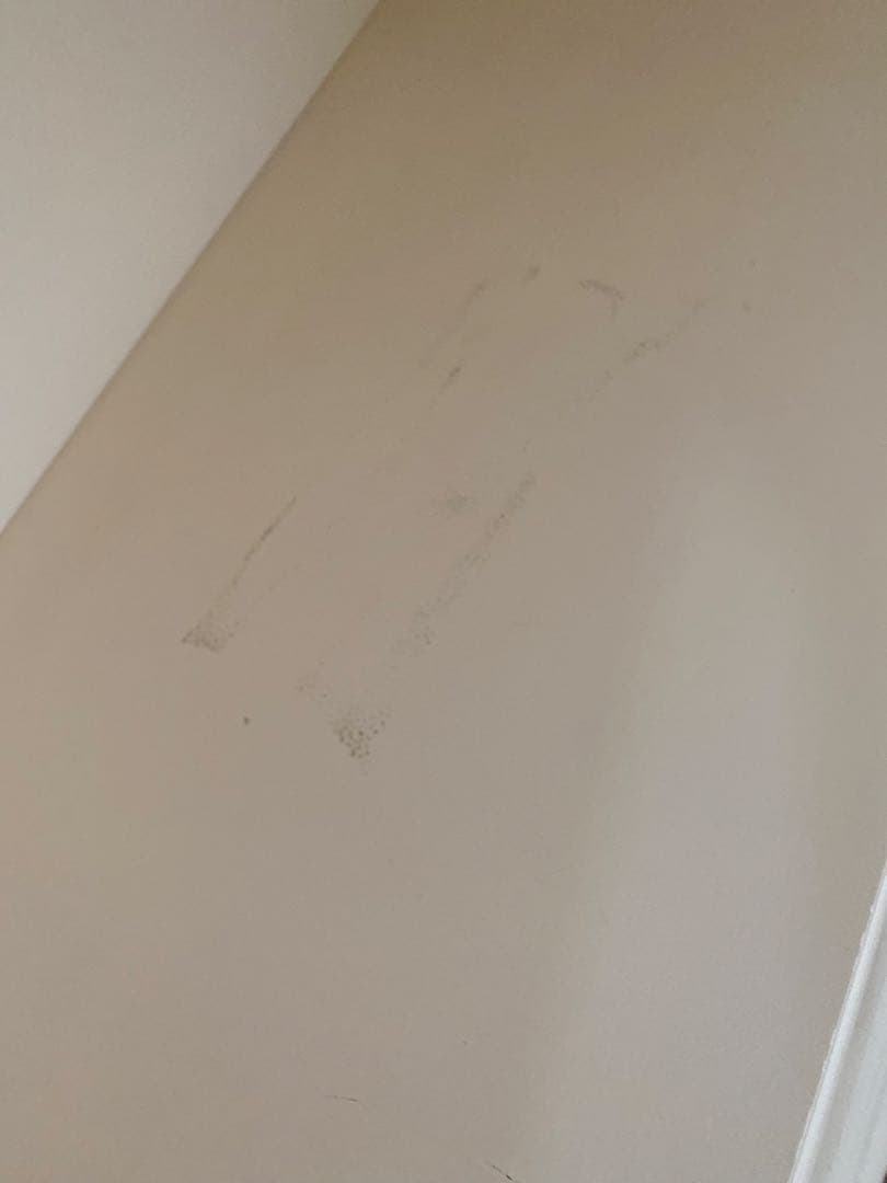 yomogiアイボリーロマンティック木製シェルフ