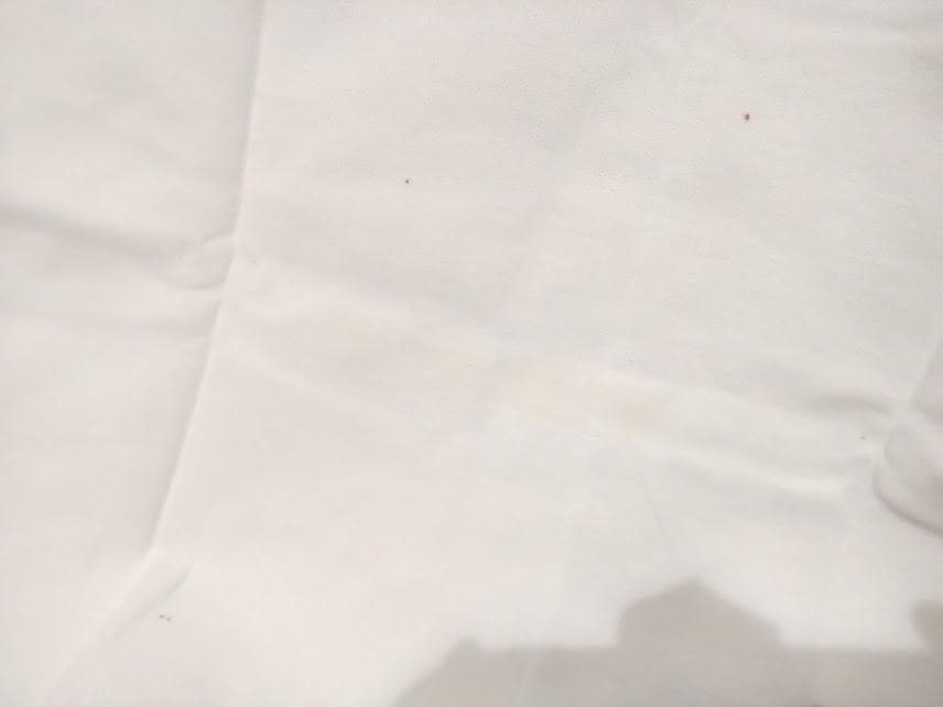 1998年 LIVE AROUND TUBE チューブ 半袖トレーナー★前田亘輝