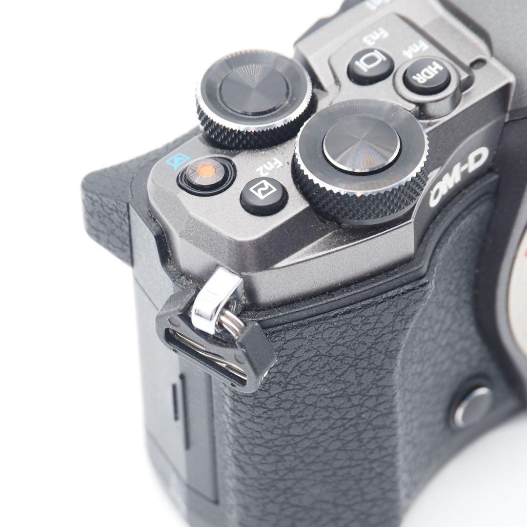 オリンパス OM-D E-M5 Mark II Limited Edition