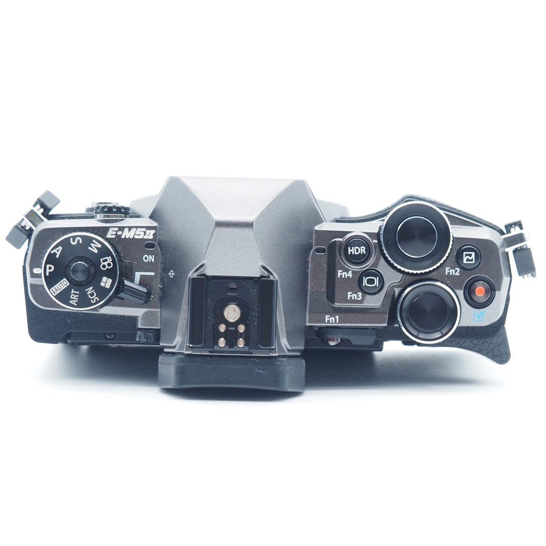 オリンパス OM-D E-M5 Mark II Limited Edition